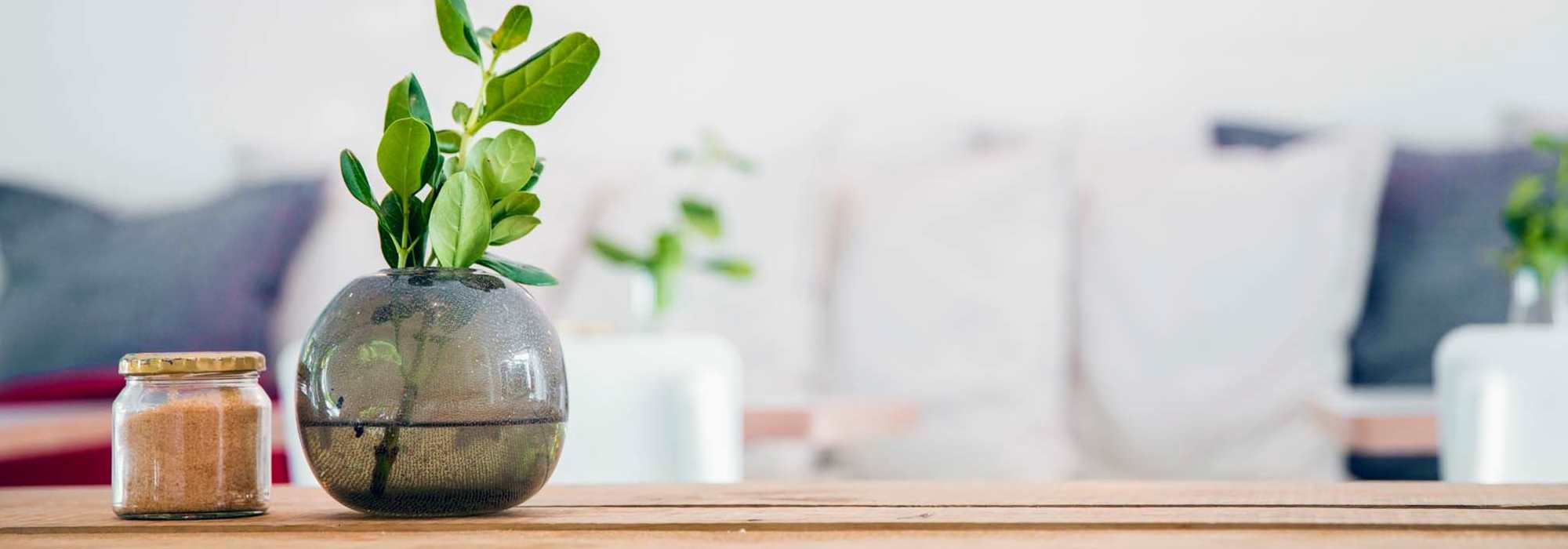 Privacy Policy at Vesta Bouldercrest in Atlanta, Georgia