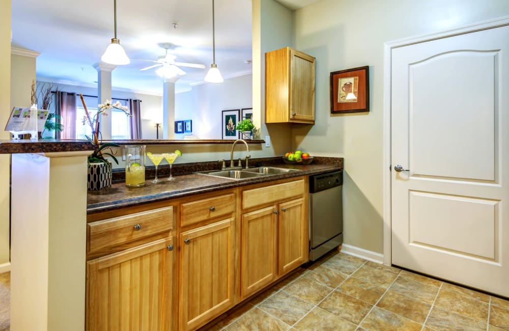 Kitchen with dishwasher, designer cabinetry, and double stainless steel sink at Carden Place Apartment Homes in Mebane, North Carolina