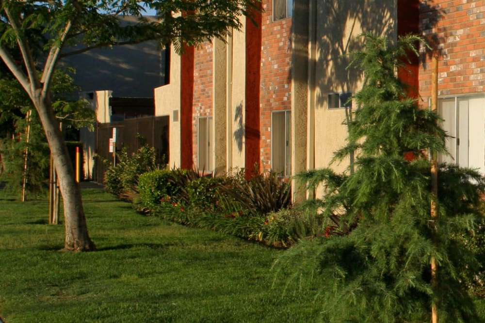 Professionally maintained landscaping throughout the community at Parkwood in Lancaster, California