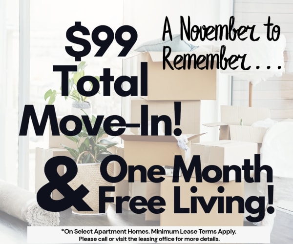 The Pointe At Victoria $99 Total Move-In plus ONE MONTH FREE On Select Units.  Discount applies after first full months rent.