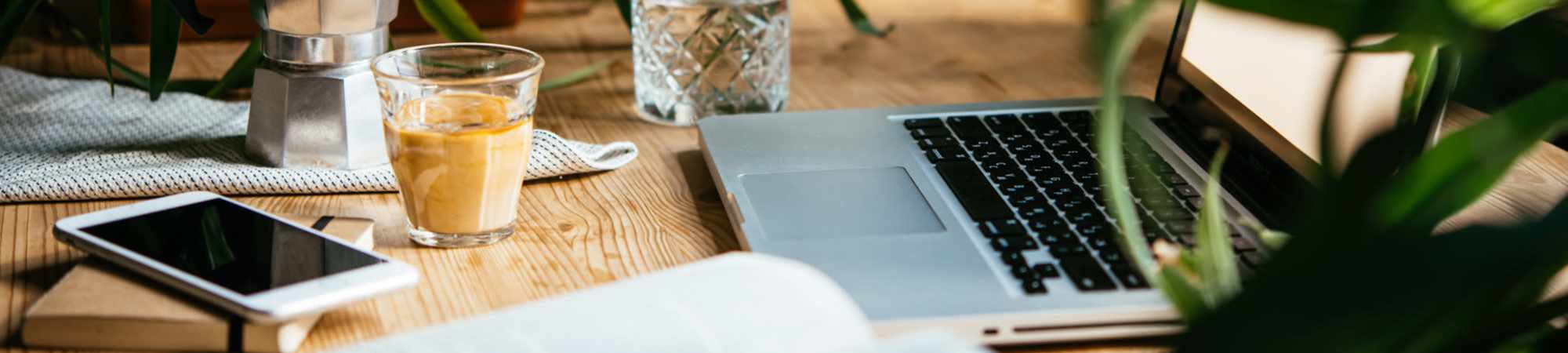 Privacy Policy | Dunbar Apartments in Lexington, North Carolina