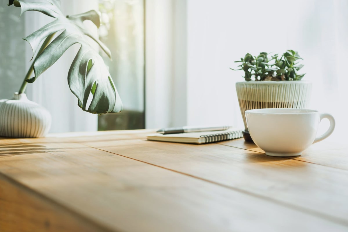 A table with coffee and house plants in an apartment at The Howard, Glendale, California