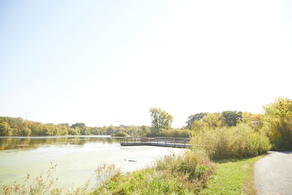 Walking paths next to a lake near Amira Choice Roseville at Lexington in Roseville, Minnesota