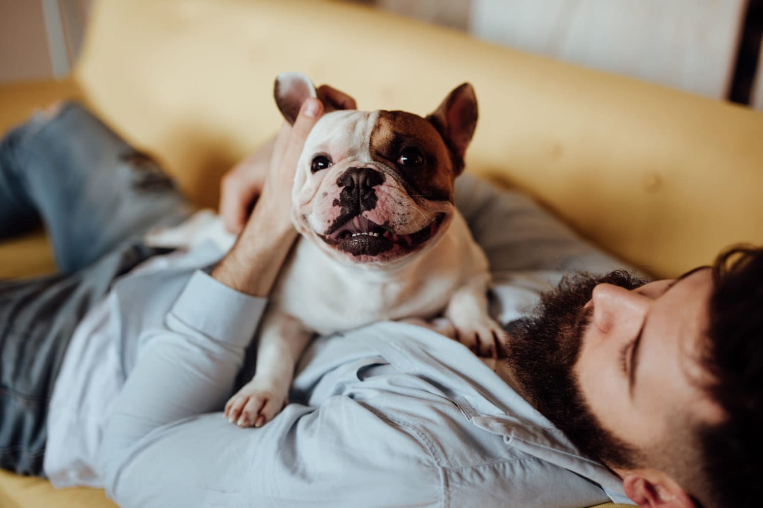 Cute puppy laying on their owners chest on the couch at Waterford Place Apartments in Loveland, Colorado