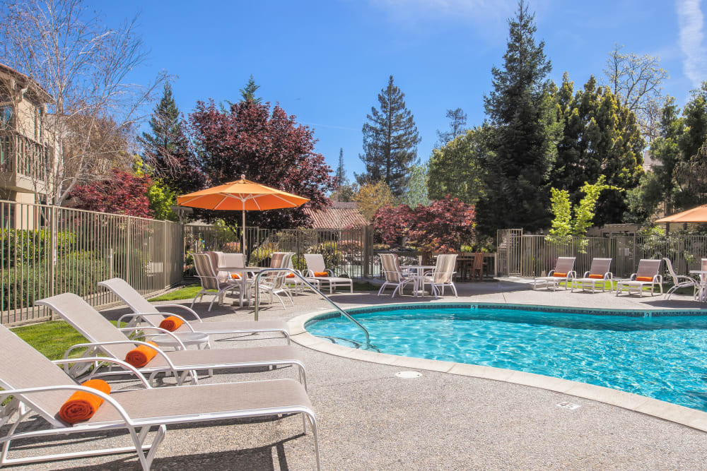 Resort-style swimming pool at Spring Creek Apartments in Santa Clara, California