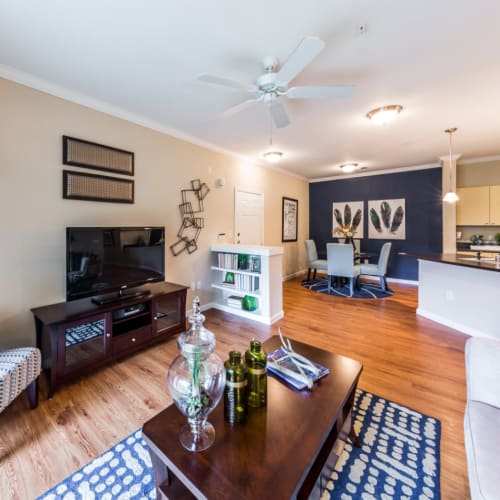 Flexible Lease Terms at Marquis at Canyon Ridge in Austin, Texas