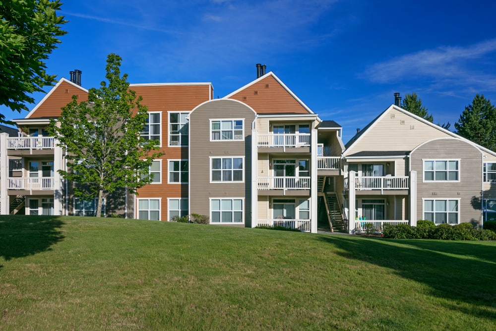 Large grass lawn for summer picnics at Center Pointe Apartment Homes in Beaverton, Oregon