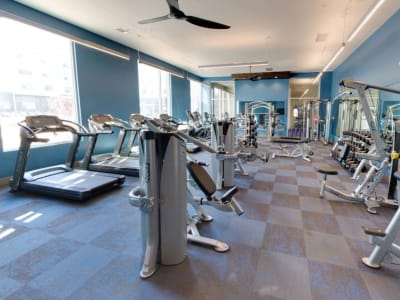 State-of-the-art fitness center at Argon in Oklahoma City, Oklahoma