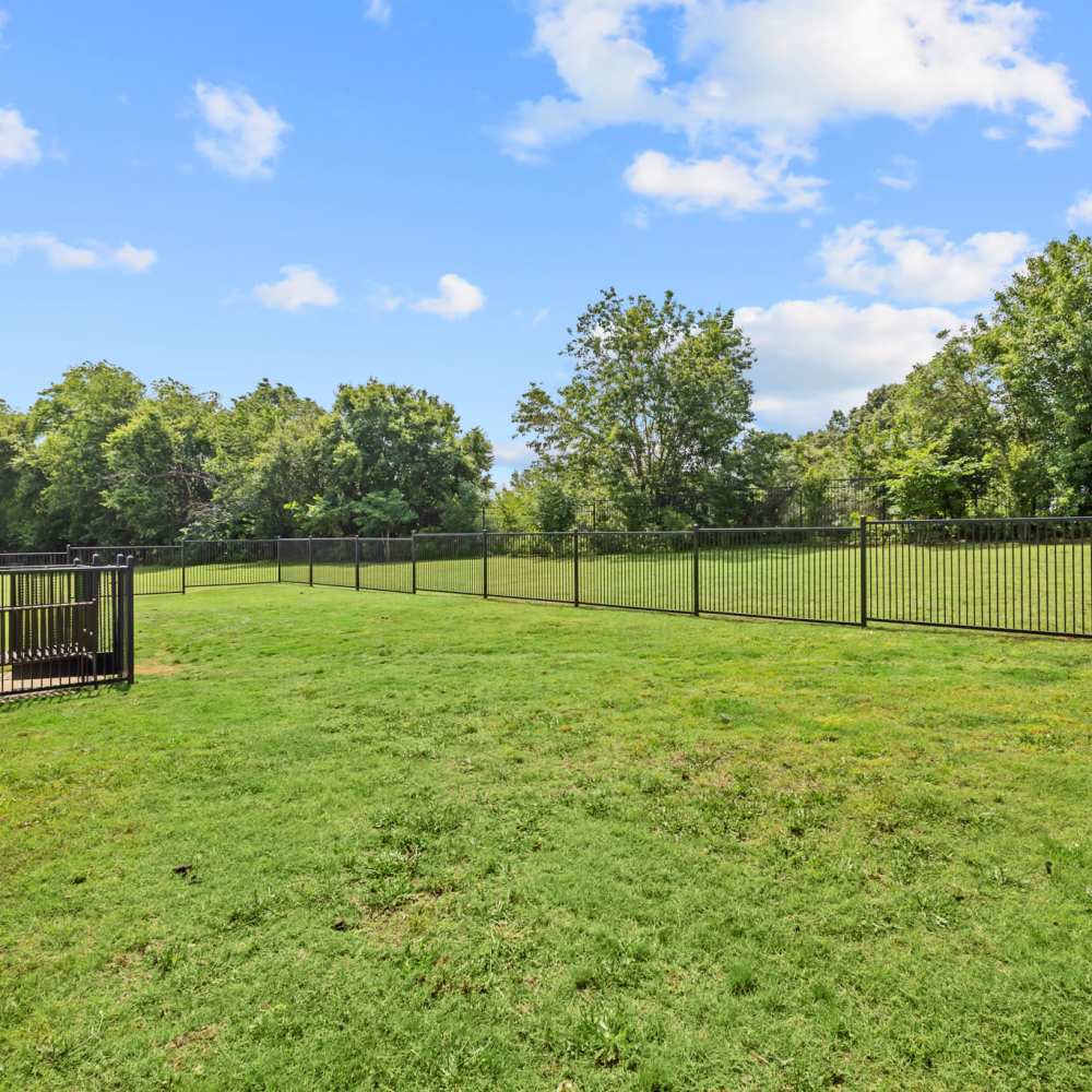 Community dog park at Deer Park in Athens, Texas