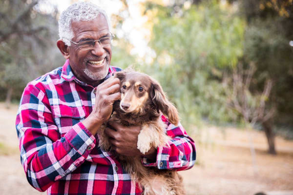 Pet-friendly homes at Country Woods Apartments in Ogden, Utah