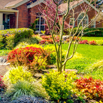 Beautiful landscaping around the community at Sofi at Murrayhill in Beaverton, Oregon