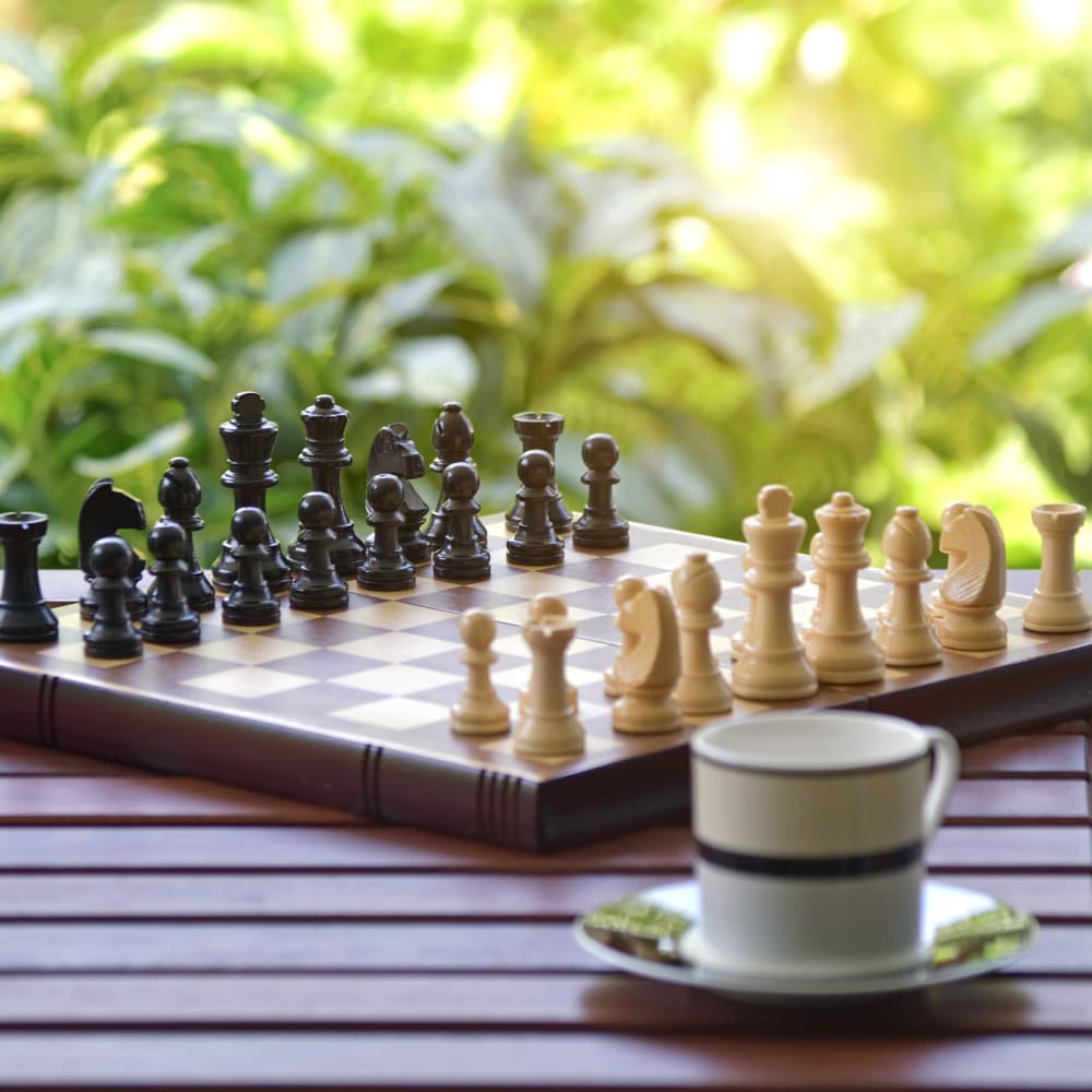 ECOAIR ORGANIC COFFEE SHOP on LinkedIn: Chess is more than a game, it is a  brain sport A new chess club is opened…