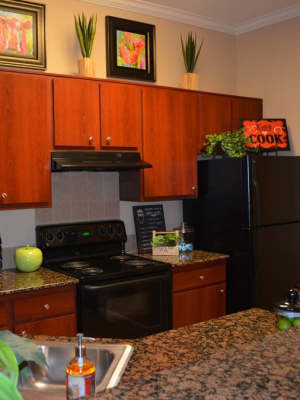 Modern kitchens with black appliances at The Abbey at Stone Oak