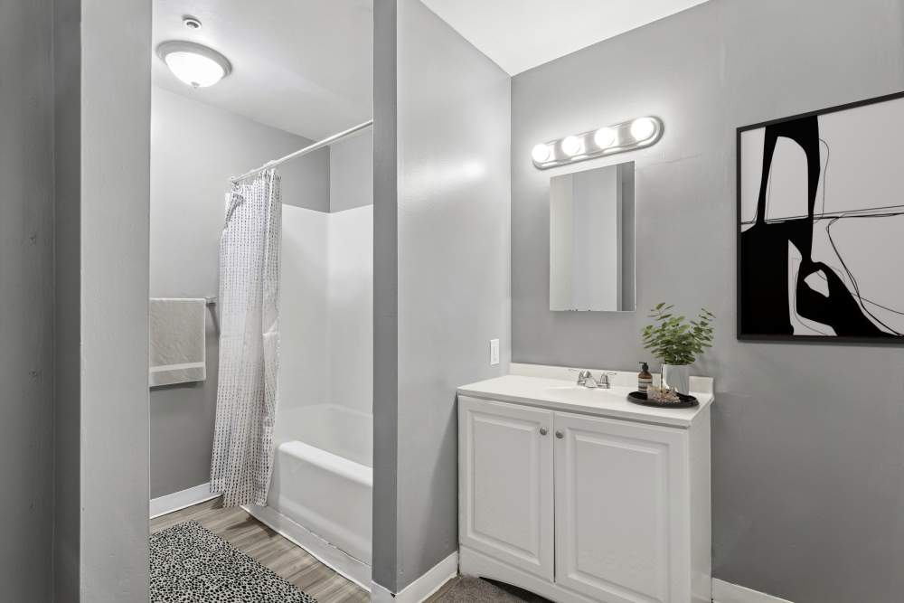Bright bathroom at Elmore Apartments in Cincinnati, Ohio