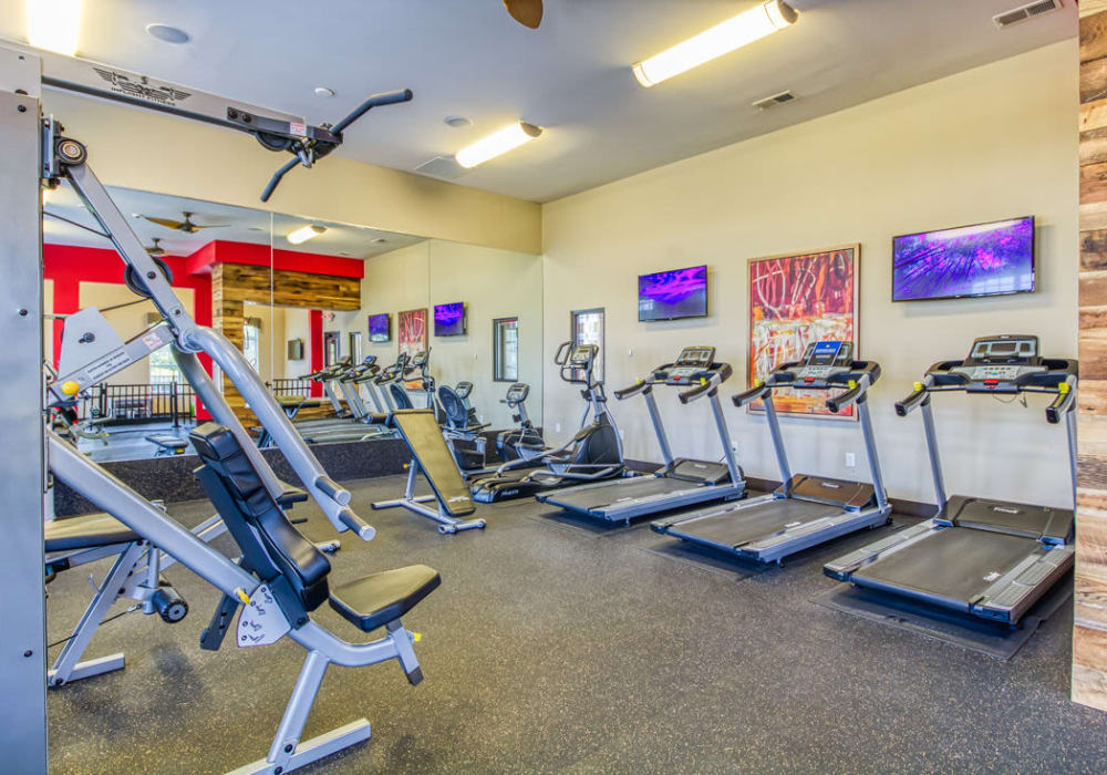 A row of treadmills facing flat screen TVs and weight machines at Everwood at The Avenue in Murfreesboro, Tennessee