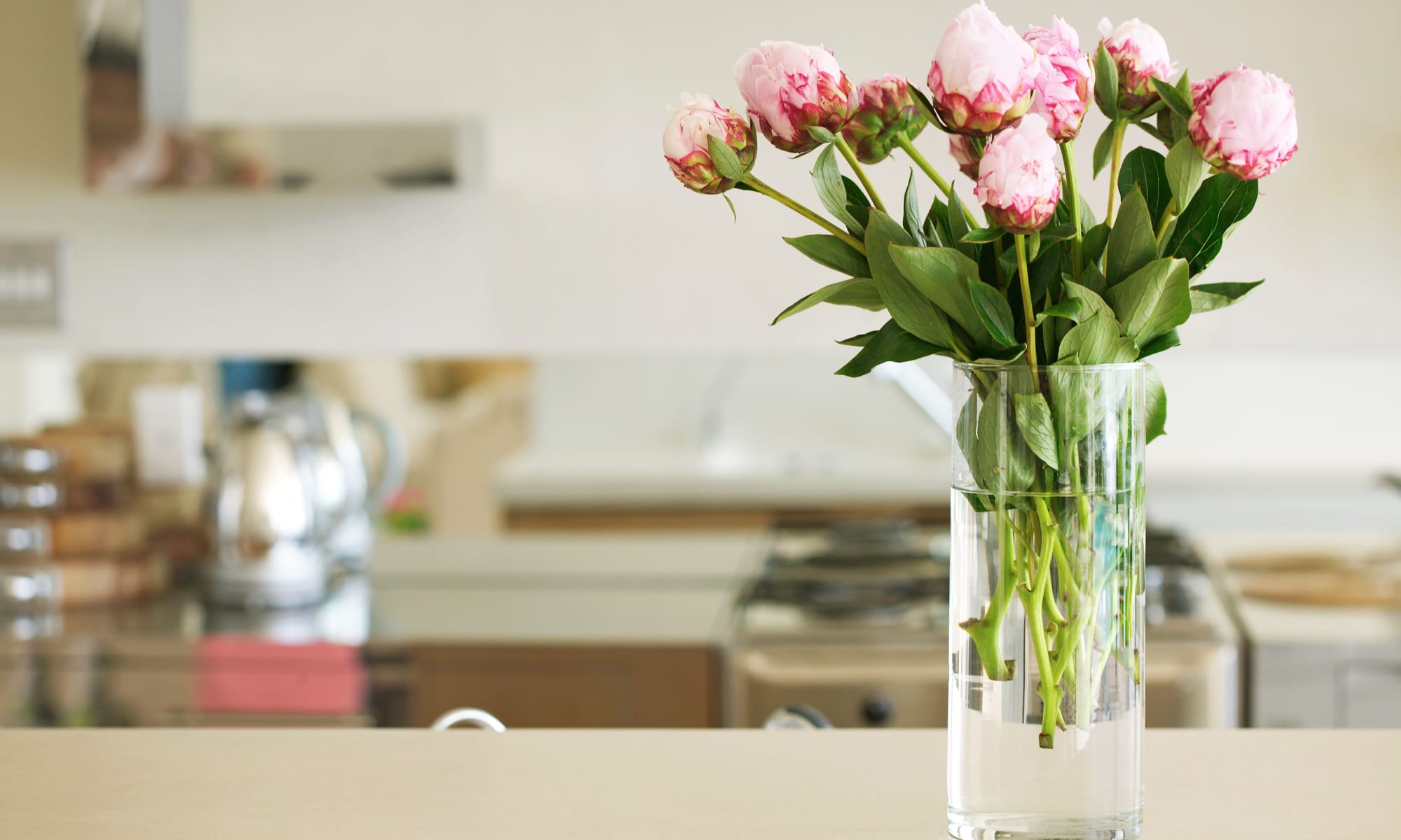 A kitchen with flowers om the counter top at Broadwell Senior Living in Plymouth, Minnesota