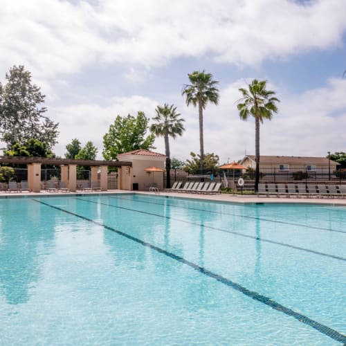 A swimming pool at Orleck Heights in San Diego, California