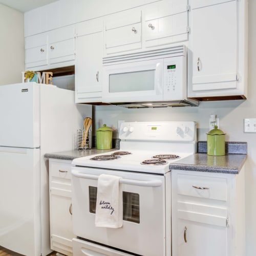 Apartment kitchen at Element at 3900 in Macon, Georgia