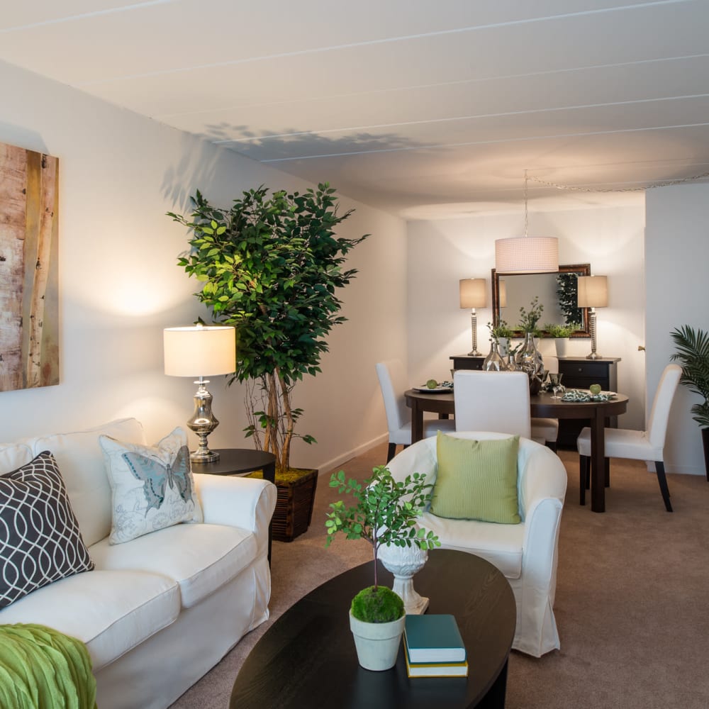 Green sofa with a throw blanket and side table at Claremont Towers in Hillsborough, New Jersey