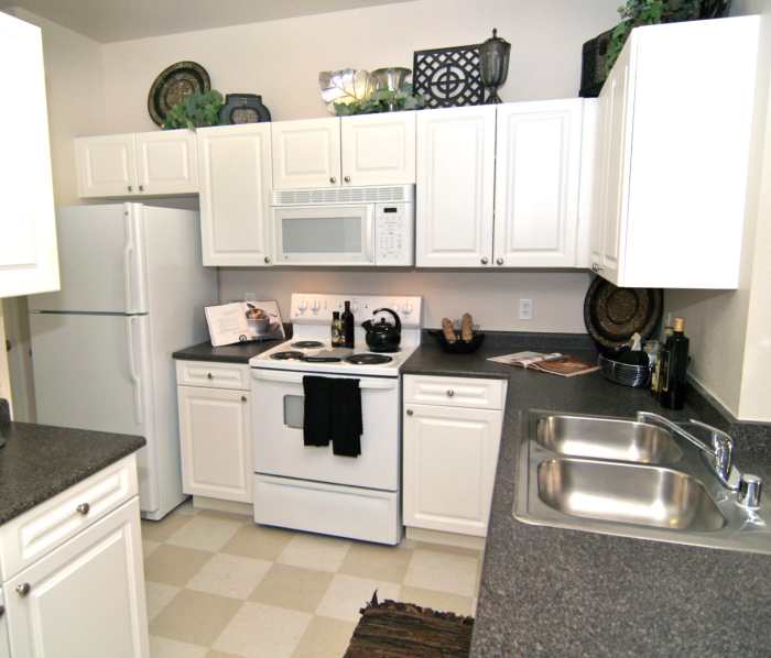 Dishwasher and kitchen appliances at Stonegate Apartments in Palm Harbor, Florida