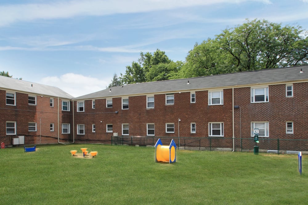 Dog park with agility equipment at Elmwood Village Apartments & Townhomes in Elmwood Park, New Jersey