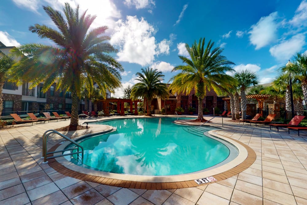 Swimming pool surrounded by palm trees at The Hawthorne in Jacksonville, Florida