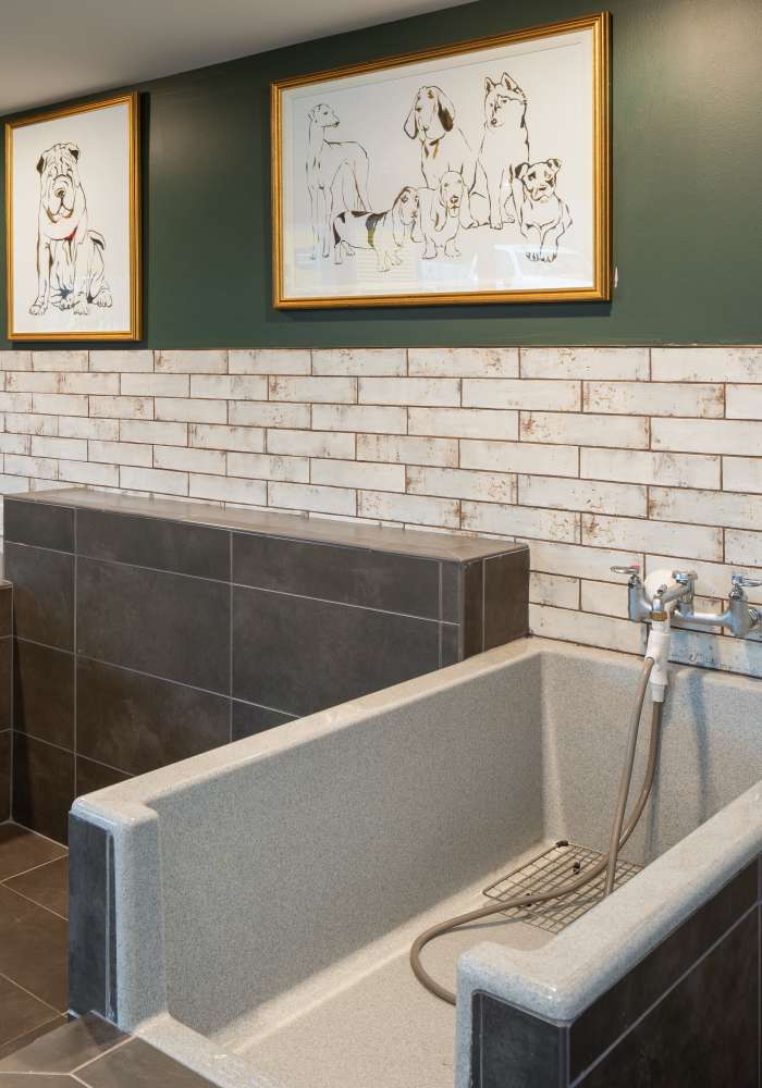 Pet spa area at Venable Durham Apartments in Durham, North Carolina