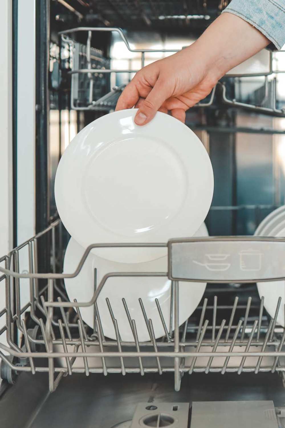 Dishwasher at Serenity Apartments in Leesburg, Florida