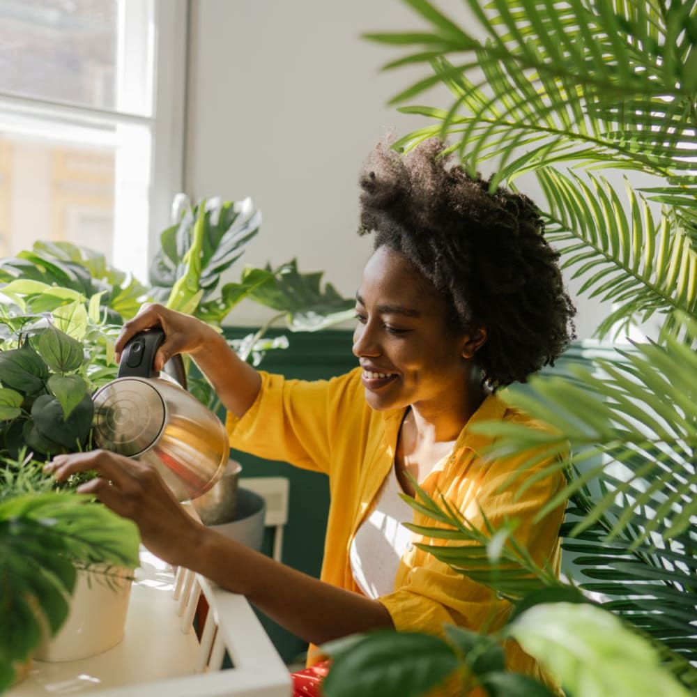 Resident waters her plants at Beacon on 5th in Charlottesville, Virginia