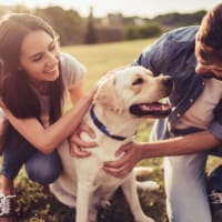 Pet-friendly at Silver Creek in San Antonio, Texas