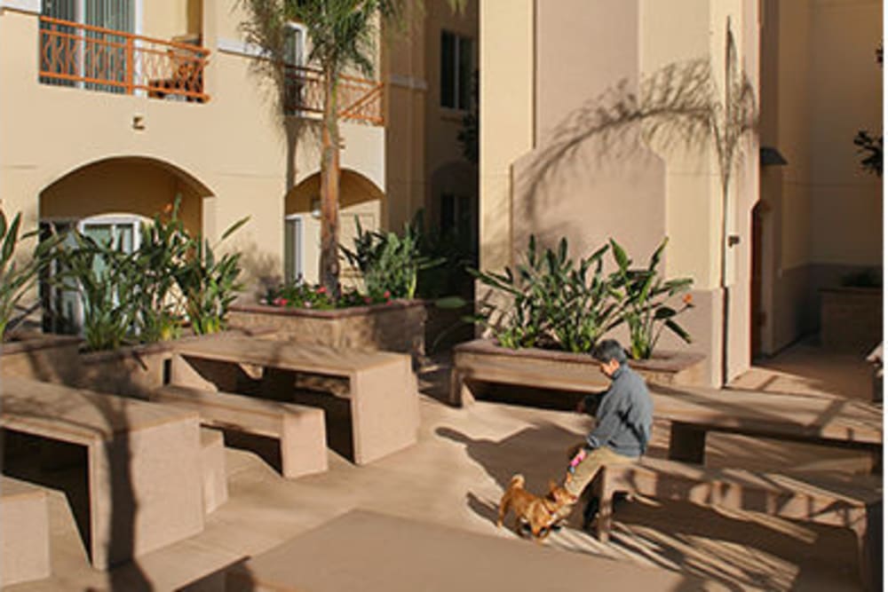 Outdoor community area at Montecito Terraces in Panorama City, California