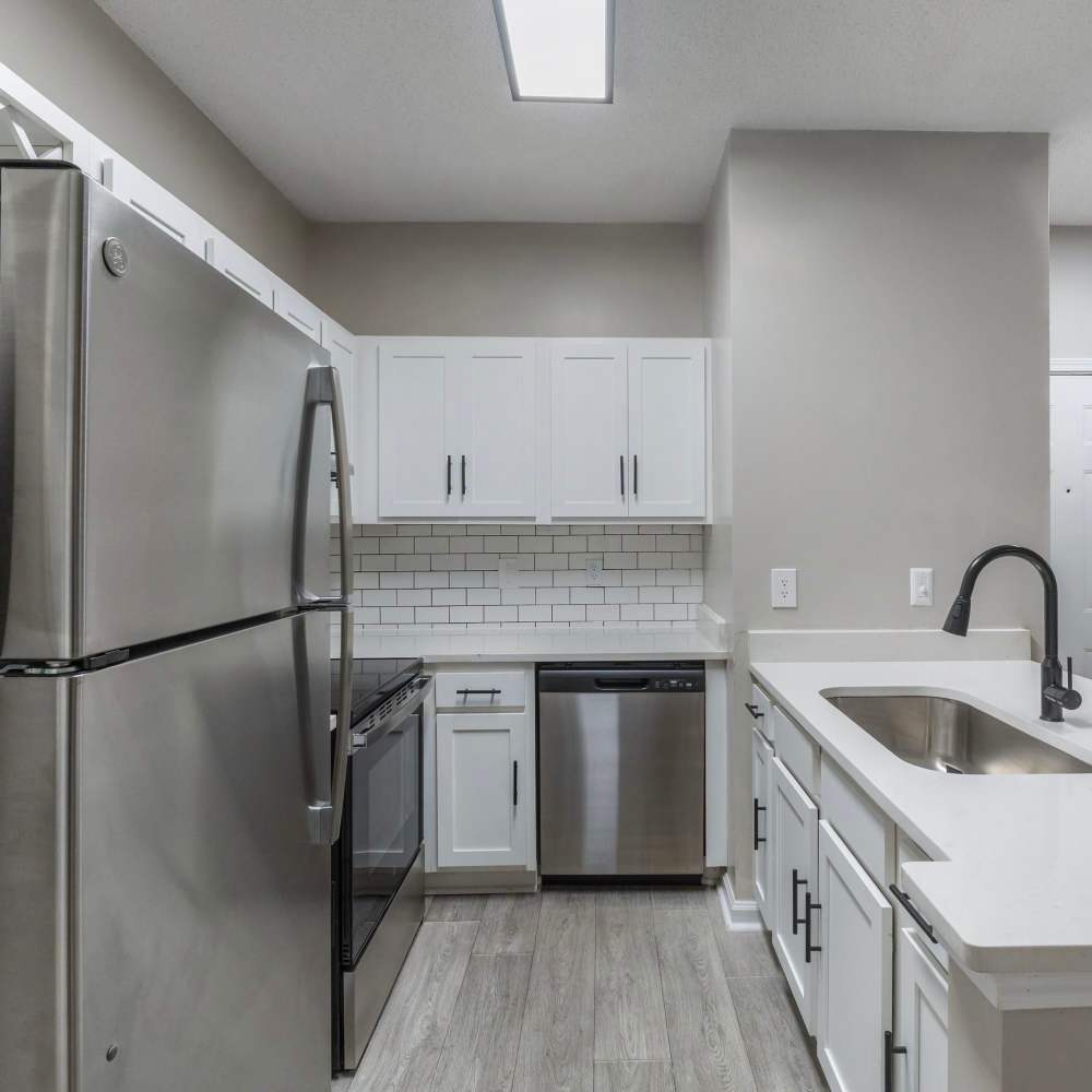 Stainless Steel Appliances