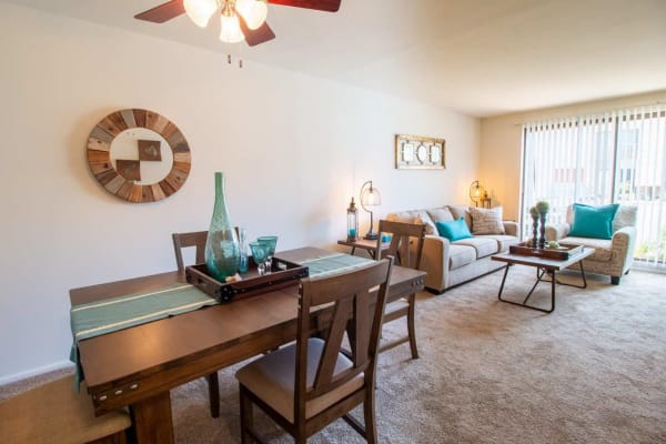 Dining area and spacious living room with plush carpeting and a ceiling fan in a model apartment home at Mill Village in Millville, New Jersey