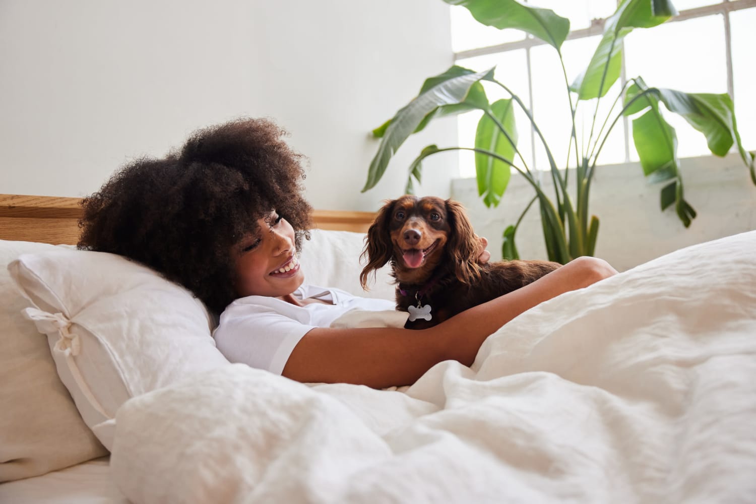 Woman laying in bed with her cute puppy dog at Parkway Apartments in Williamsburg, Virginia