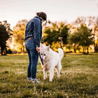 Charming outdoor space perfect for pet lovers at Lake Pointe Apartments in Madison, Wisconsin.