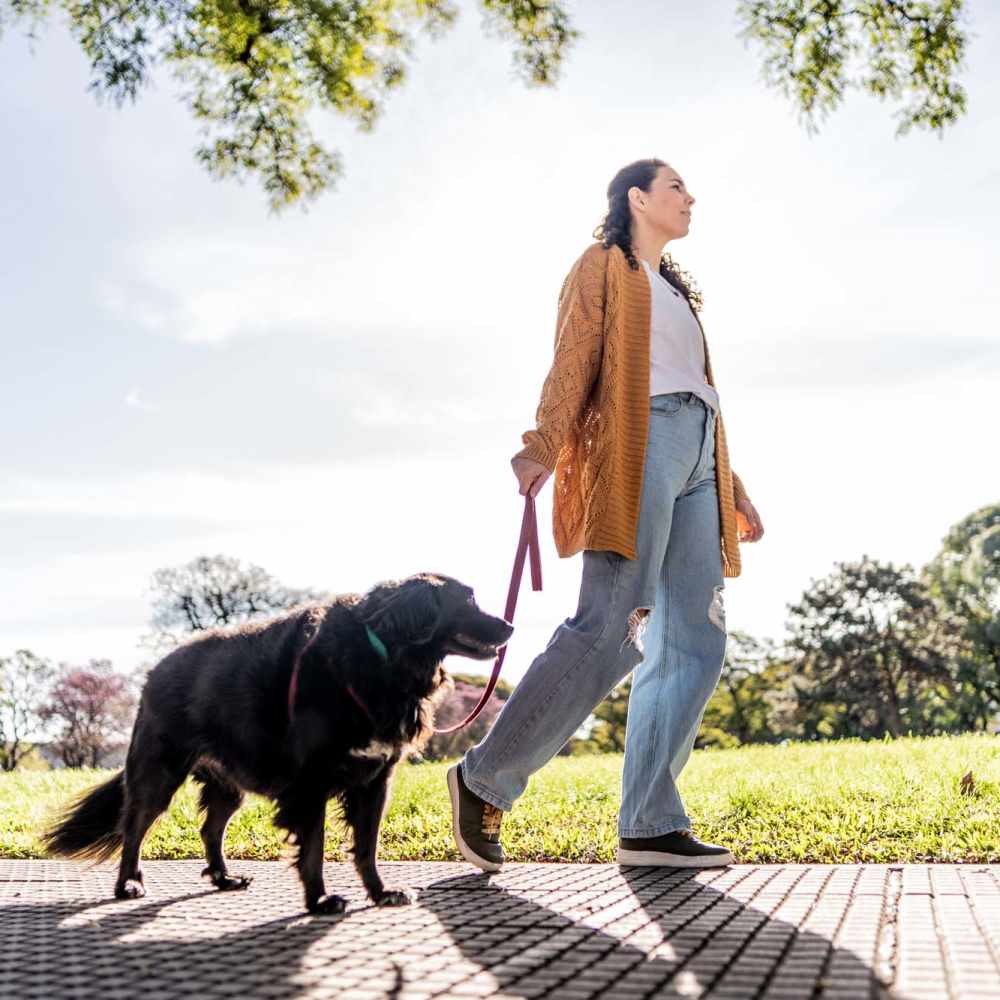 Woman walking with pet dog near Equinox Apartments in Saint Anthony, Minnesota