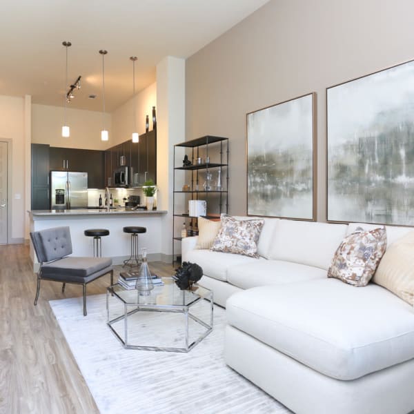 Luxury living area at The District at Windy Hill in Atlanta, Georgia