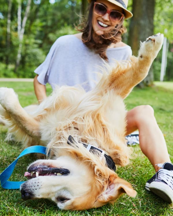 Happy owner and dog at a park near Parallel 36 at Jailette in Atlanta, Georgia