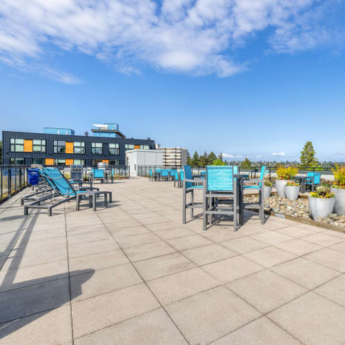 Roof deck at Circa Greenlake in Seattle, Washington