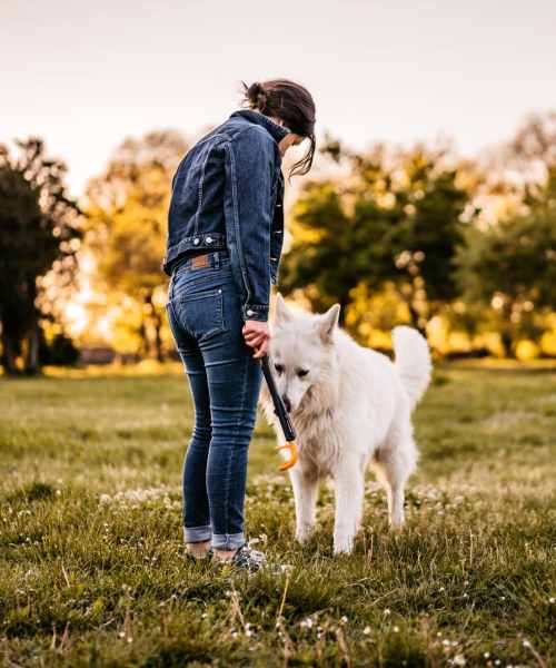 Resident spending time outdoors with their dog in a green community space at Granada Gardens Apartments in Warrensville Heights, Ohio