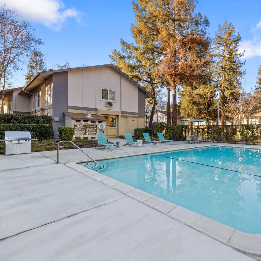 Luxury style pool at Montecito Apartments in Santa Clara, California