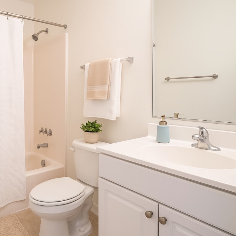 Bathroom at Creekwood Apartments in Gainesville, Florida