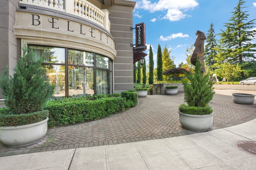 Elegant outside with landscaped trees at The Bellettini in Bellevue, Washington 