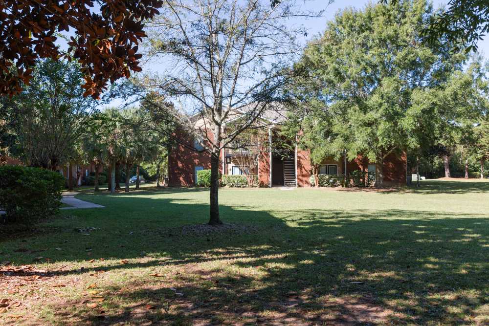 Green all around at Annandale Park in Robertsdale, Alabama