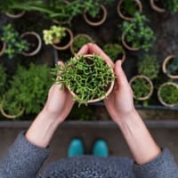 Resident holding one of her thriving plants on the private balcony outside her apartment at South Oaks in Houston, Texas