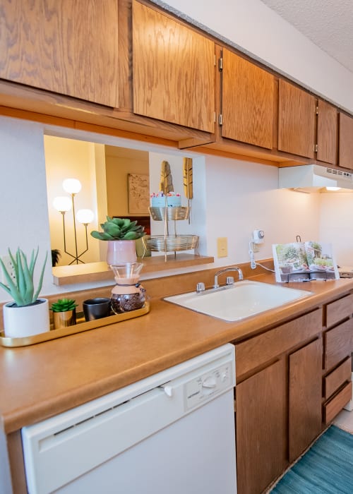 Amenities at Raintree Apartments in Wichita, Kansas