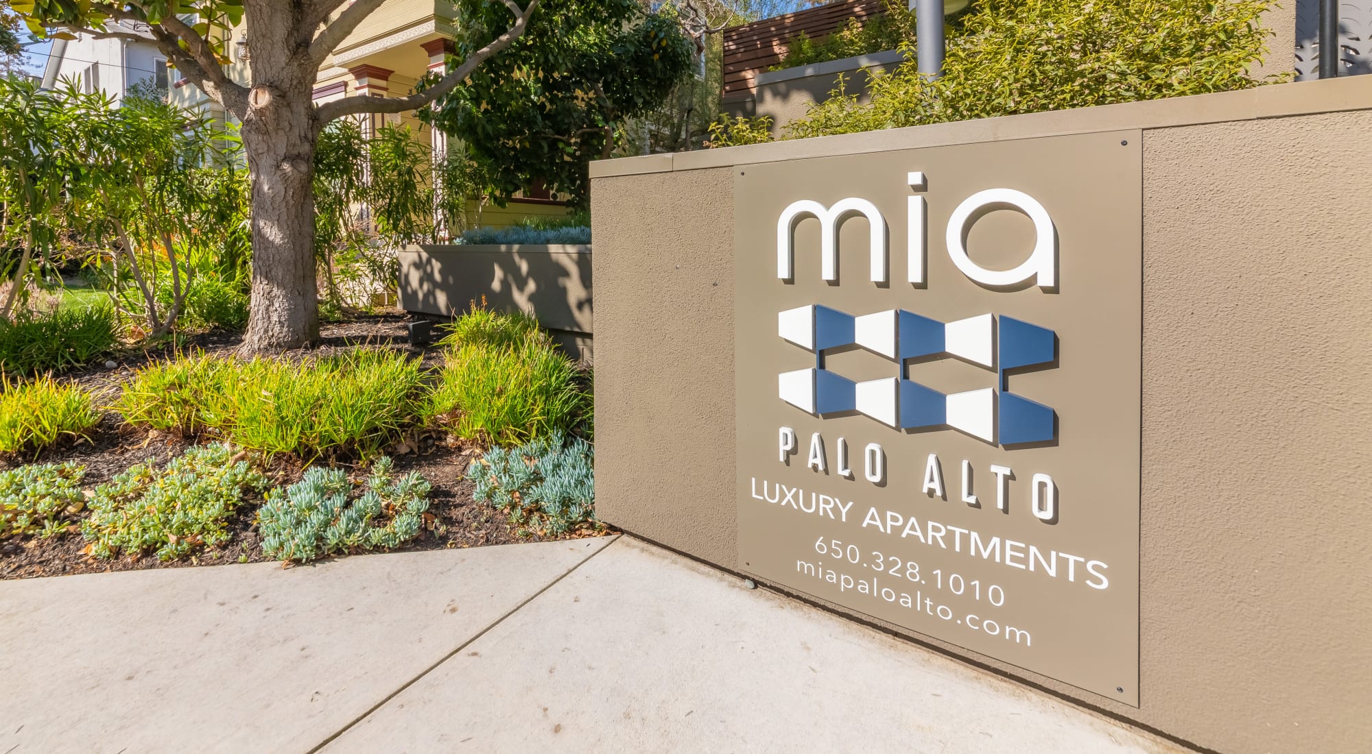 Photo gallery at Mia in Palo Alto, California