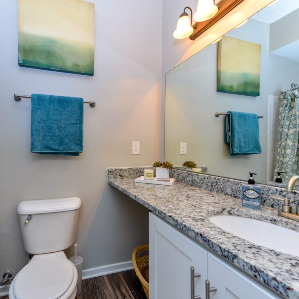 Bathroom with double vanity sink at Madison at Schilling Farms in Collierville, Tennessee