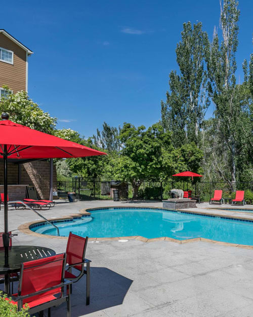 Poolside view and lounge area with umbrellas at The Crossings at Bear Creek Apartments in Lakewood