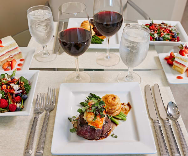elegant meal with wine